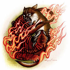 Tiger/Wolf Fight for Ribcage